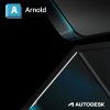 Autodesk Arnold - imagine 4