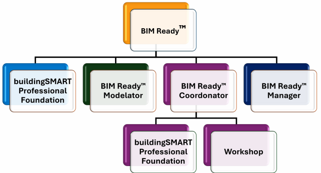 bimready grafic cursuri